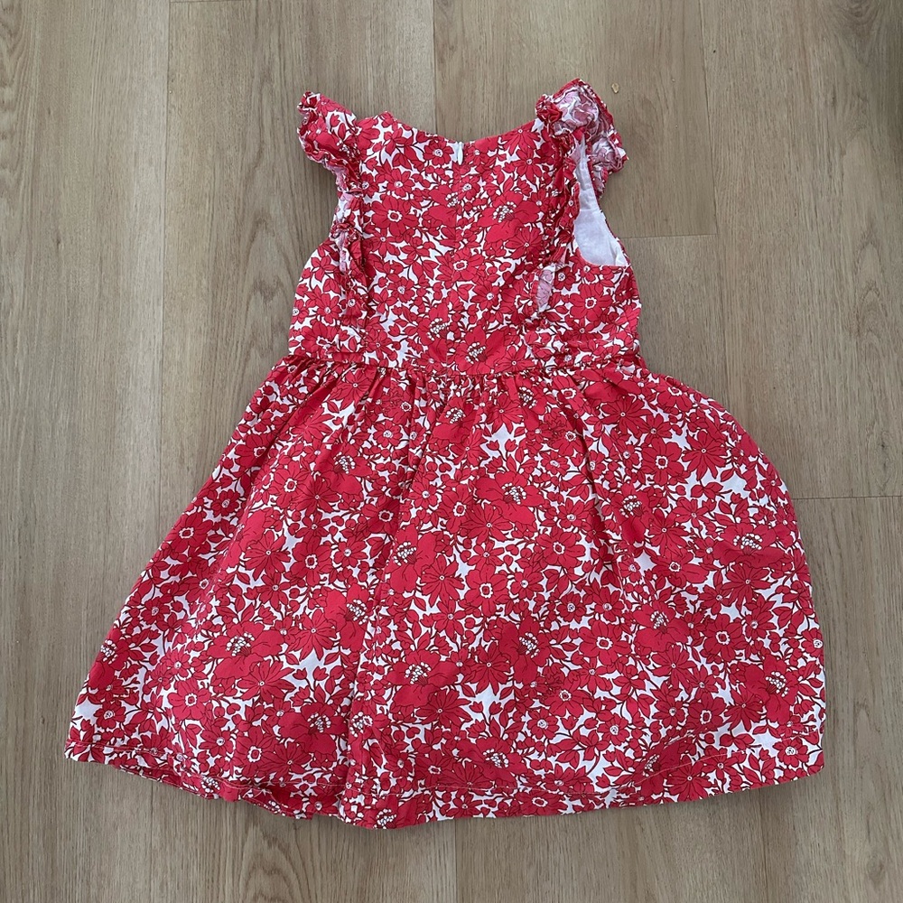 Crewcuts Ruffle Sleeve Floral Dress